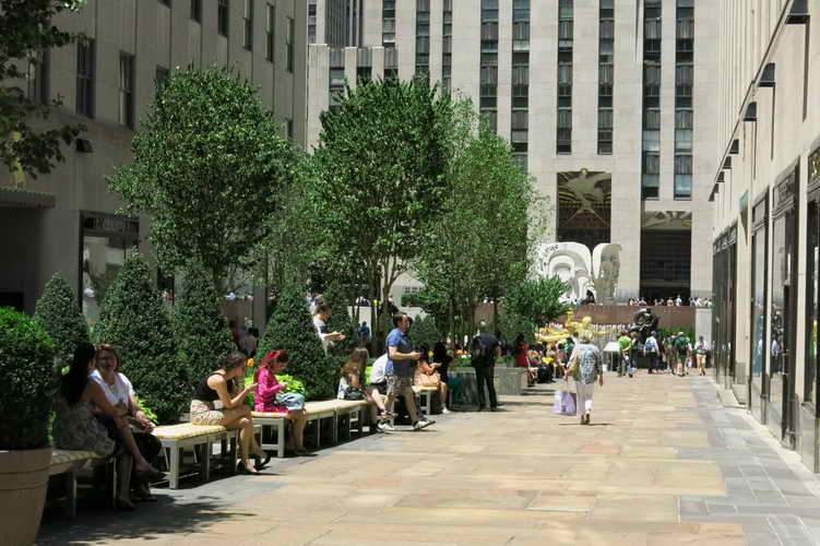 NYC_2015-06-22 12-29-45_IMG_5242
